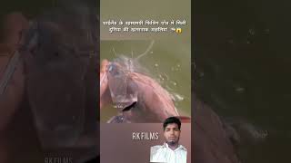 #fishing #trending #ilovegadgets #catchingfish #youtubefishing #viralvideo