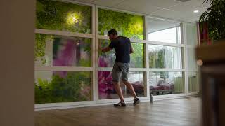 Interieur beleving voor ouderenzorg Raamfolie Bladerdek