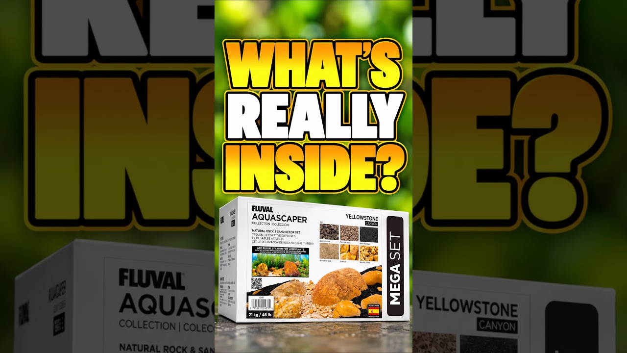 Unboxing The Fluval Yellowstone Canyon Aquascaping Kit For My New Planted Aquarium!