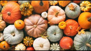 Autumn Awesomeness: 10 Unique Facts About Fall
