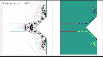 Story of shock-vortex interaction during compressible vortex ring and trailing jet impingement on...