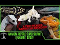 ANAHEIM REPTILE SUPER SHOW! (January, 2020)