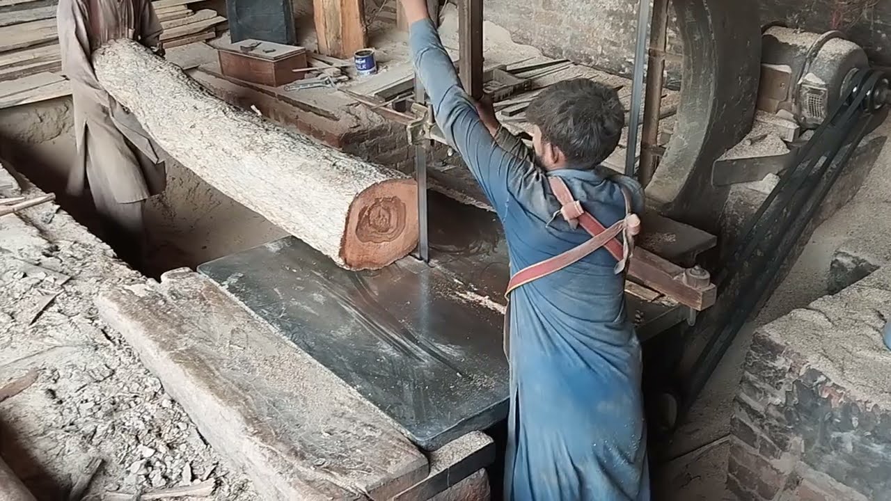 Amazing beautiful colour