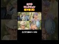 ミテ子皿コレクション ＃Shorts