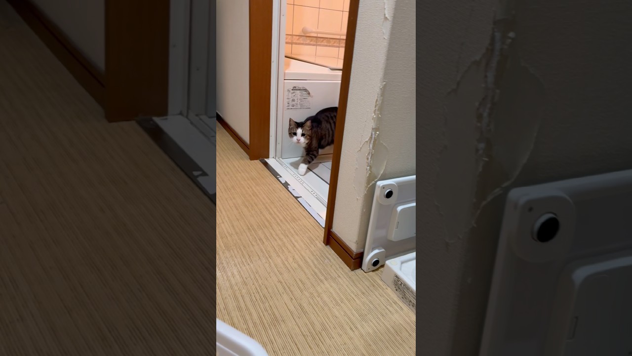 中で何やってんの?いつも?