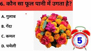 General Knowledge Most ImportantQuestion||GK Question||GK Quiz||BRGK STUDY ||
