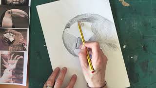 Year 8 Rousseau  -  Drawing a jungle animal