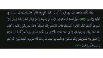 سوره البقرة ( ١٨٦ - ١٨٧ )