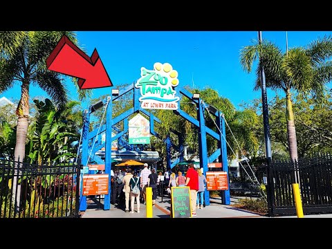 ZooTampa at Lowry Park Tampa Florida Full Tour 2024