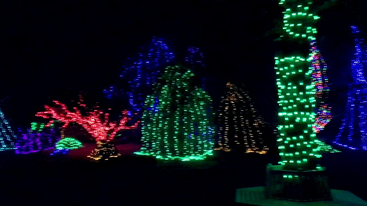 Winter Walk of Lights YouTube