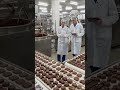 Chocolate Factory Secrets 🍫 | How Hershey’s Chocolate Is Made From Scratch