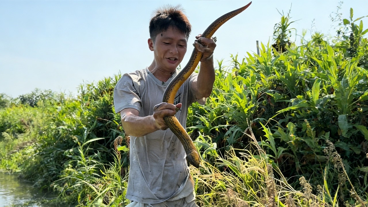 同城魚塘老闆向我發起挑戰，那我就好好的給你上一課#大熱門