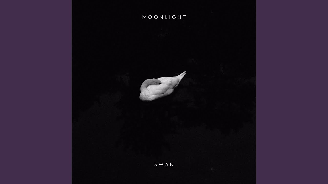 Watch Swan (Techno) on YouTube Watch Swan (Techno) on YouTube