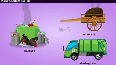 Conservancy and Water Carriage System