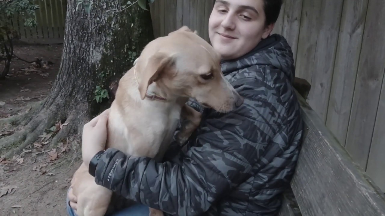 Friends of the Animals Baton Rouge YouTube