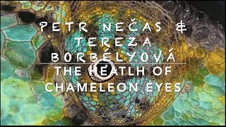 The health of chameleon eyes