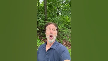Thumbnail of Gordon Lightfoot song “the soul is the rock” and my beautiful original ballads￼