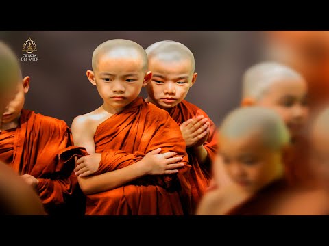 Video: Lecciones De Vida De Buda