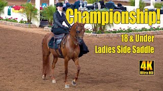 Side Saddle Championship at Scottsdale Arabian Horse Show