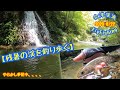 2020-8/22会津渓流FlyFishing【残暑の渓を釣り歩く】