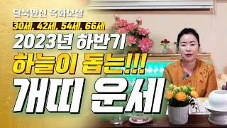 2023년 하반기 개띠 운세!! 하늘이 돕는다!!!(30세, 42세, 54세, 66세)(충청도점집)(옥화보살…