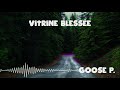 Goose p  vitrine blesse