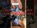 Barang tersegel 😉👉 https://vt.tiktok.com/ZSkyJcceB/ #youtubeshorts #fypviral #bengkelmotor
