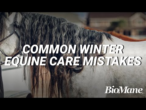 4 Winter Grooming Mistakes Horse Owners MUST Avoid