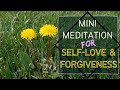 Mini Meditation for Self-Love &amp; Forgiveness | LaNomRah