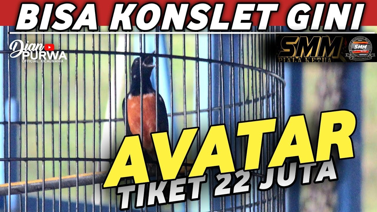 TAMBAH SADIS❗ JUARA 1 TIKET 22JT MURAI BATU AVATAR TERBAIK INDONESIA SAAT INI SIKAT MOBIL DI SMM
