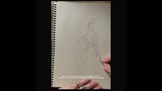 Building A Horse Drawing Structure Before Detail