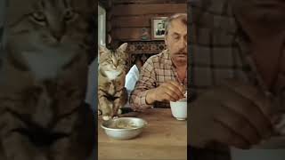 Избаловал ее! Теперь корми! Роллами, желательно