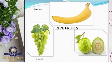 Class 4/TNB/Science/Session 1