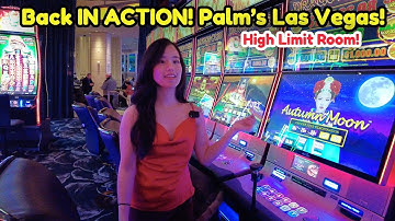 Playing Slots In Las VEGAS! Palm