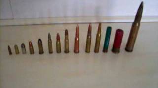 Comparison Of Ammo From 22 To 50 Cal Youtube