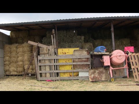 ქვემო ქართლში კომბაინის სერიოზული პრობლემაა, რაც გლეხის თუ ფერმერის მოსავალზეც საკმაოდ ცუდად ისახება