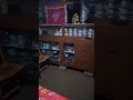 @ShantaIslam-e4ntwo🦜❤🦜 birds #blog babar Bari my bed room ❤❤❤❤