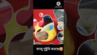 গোপালের এটাও একটা পছন্দের খাবার | food shorts youtubeshorts talerluchi @laboniskitchen7015