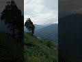 QueenOfHills#shortsvideo#viral #cookwithshahina