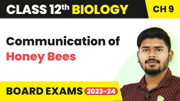 Communication of Honey Bees | Class 12 Biology Chapter 9 NCERT/NEET (2022-23)