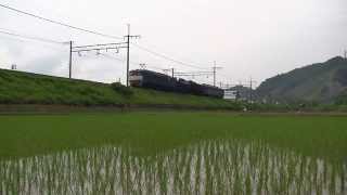 E233配給～E129試運転～C61配給 　20150603