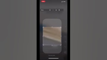 Bro they are just trying to save their spawn point