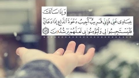 سورة المطففين|| ان الابرار لفي نعيم|| تألق في الصوت 🥹#قران_كريم #quran