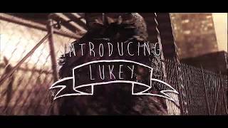 Introducing Maestus Lukey by Maestus Yazeh