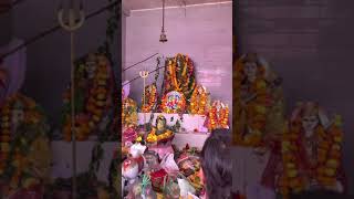 Maha Ashtami pujo at Kalibari #durgapuja #shorts #shortsvideo