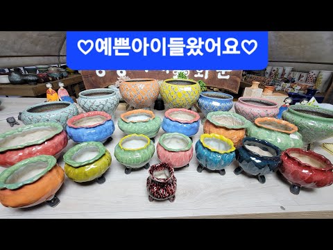 3월7일♡봉봉이네화분#수제공방분#오늘은 지천공방분입니다~5만이상택배무료