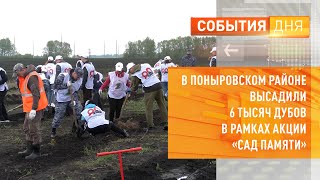 В Поныровском районе высадили 6 тысяч дубов в рамках акции «Сад памяти»