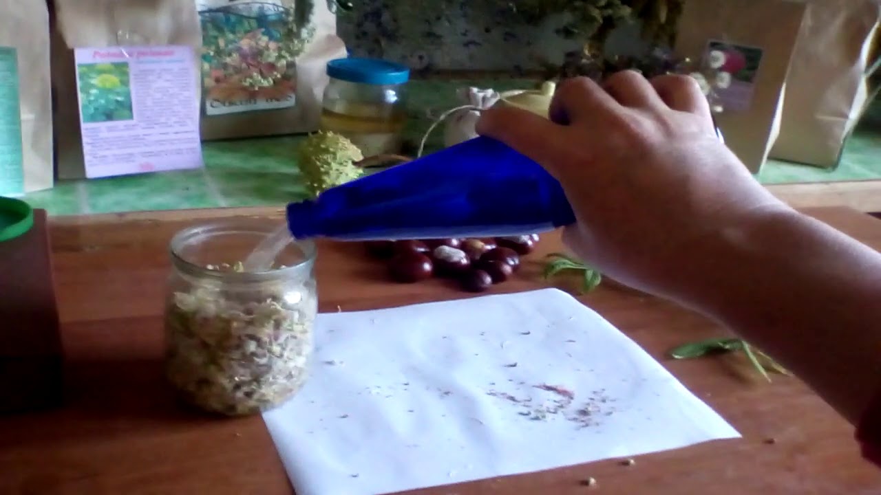 Как правильно сделать настойку каштана. - YouTube