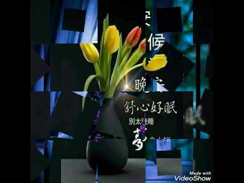 晚安曲 ( 费玉清 ) 晚安