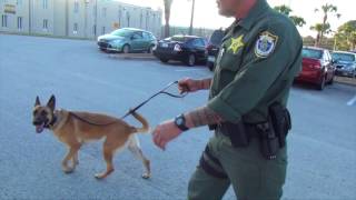 Behind The Bars With Deputy Fred Mendiola and K9s Juni & Alca